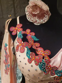 Custom Ballroom Standard & Smooth Gown — Blush Pink, Floral Appliqué & Crystals, Adult S dress in blush detail 3