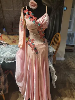 Custom Ballroom Standard & Smooth Gown — Blush Pink, Floral Appliqué & Crystals, Adult S dress in blush detail 1